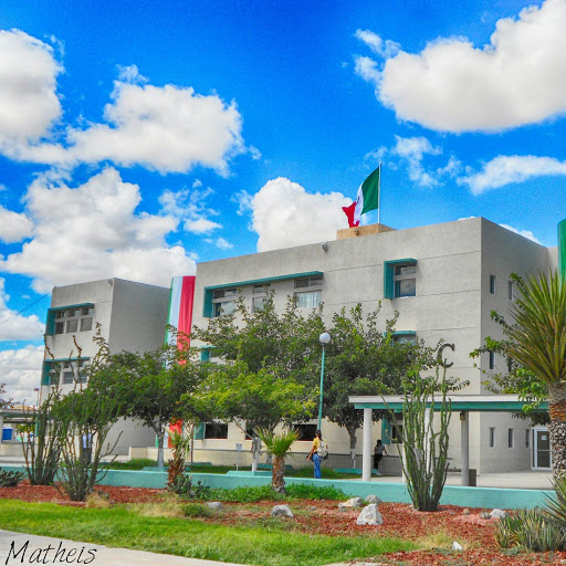 Universidades de cine en Ciudad Juarez