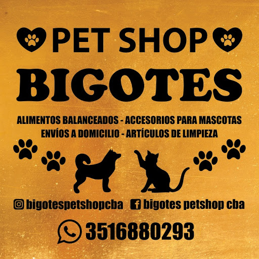 Pet Shop Bigotes