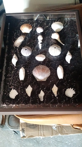 Auction House «Berners Auction, Inc.», reviews and photos, 1500 Jacobs Rd, DeLand, FL 32724, USA