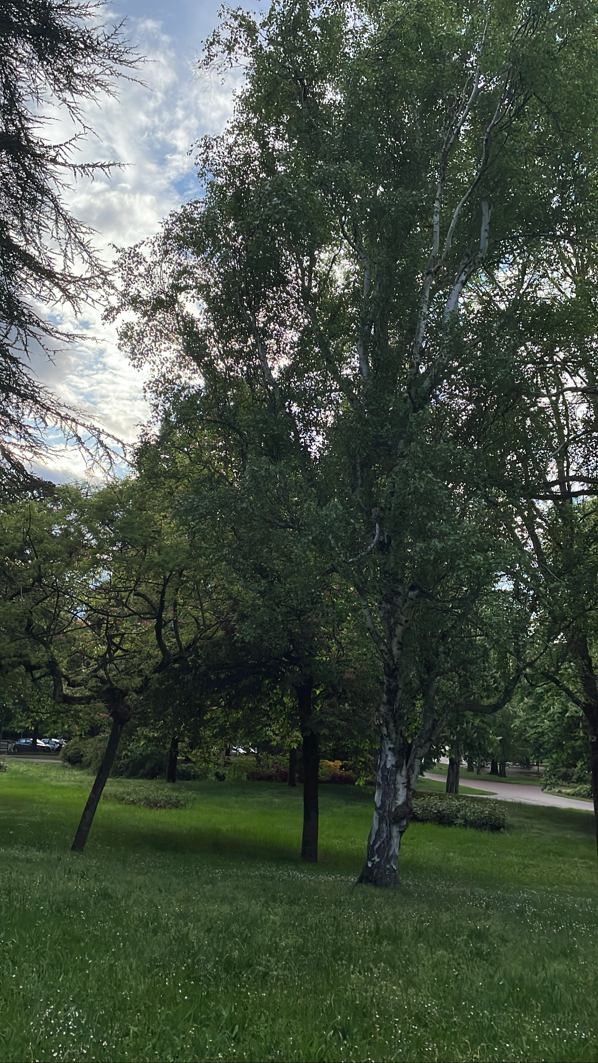 Photo n° 1 de l'avis de amal. fait le 08/05/2023 à 05:45