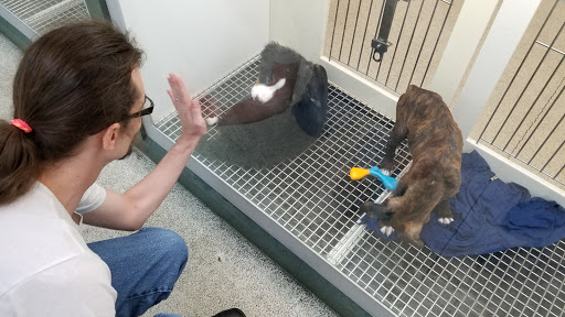 Pet Store «Petland Montgomery», reviews and photos, 7127 Eastchase Pkwy, Montgomery, AL 36117, USA