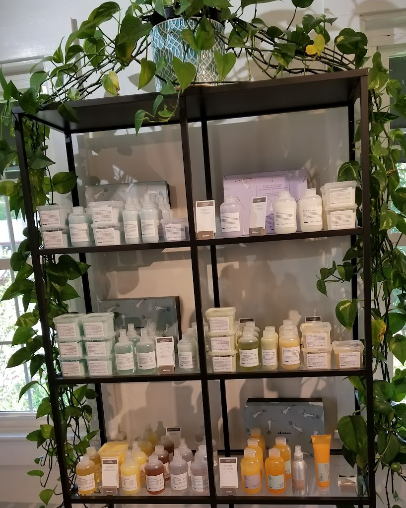 Echo Salon 04609