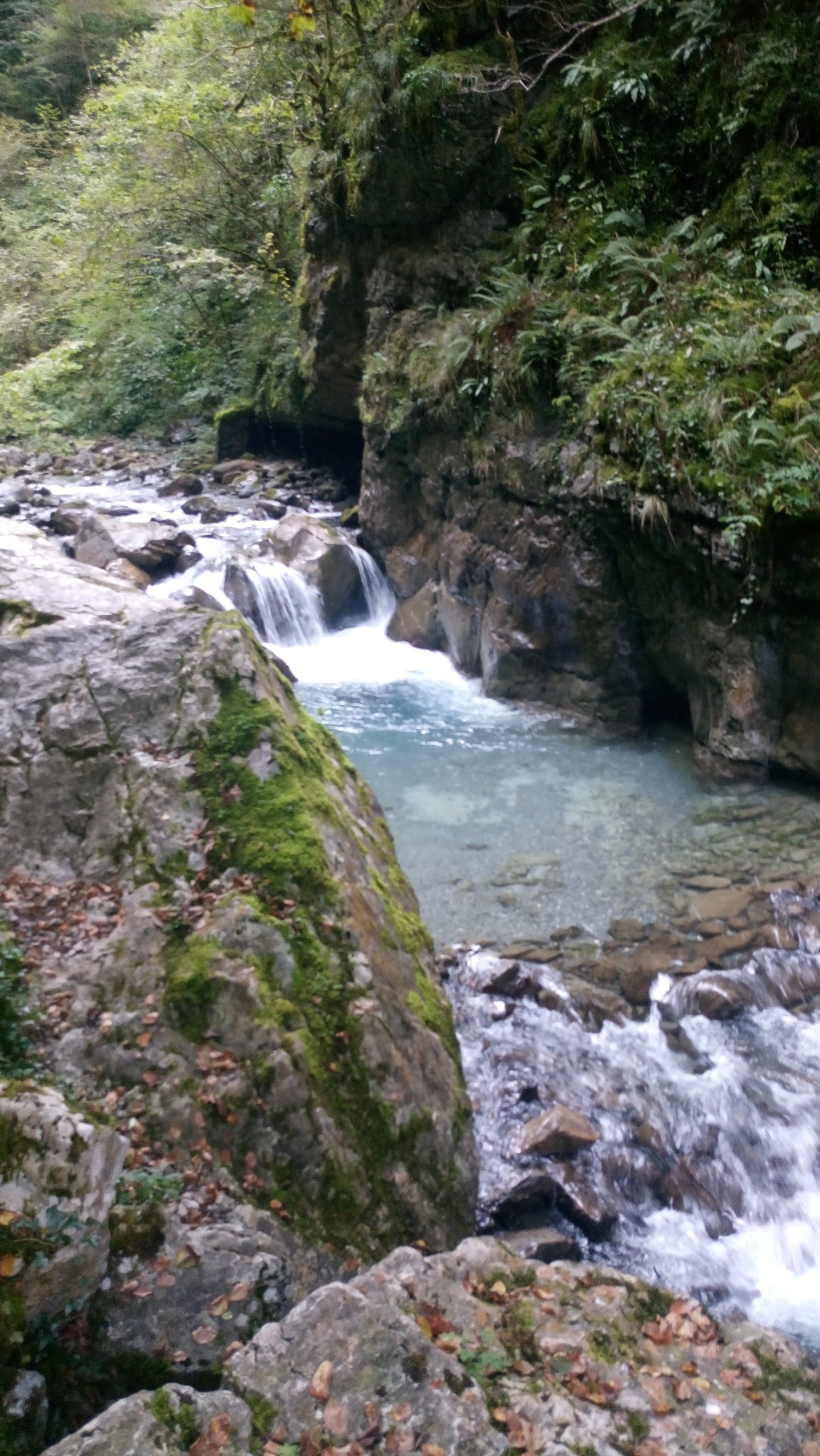 Photo n° 10 de l'avis de marques.a fait le 25/09/2017 à 16:38