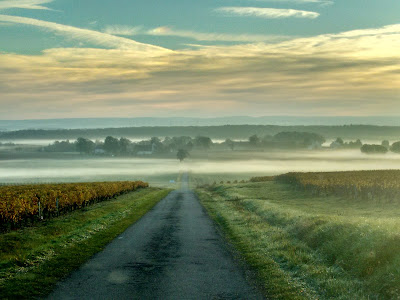 Domaine Bonnard à Saint-Andelain
