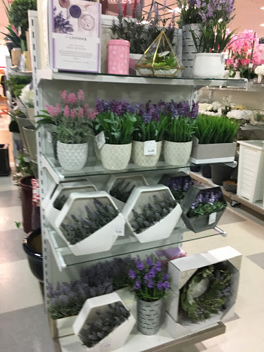 Department Store «T.J. Maxx & HomeGoods», reviews and photos, 4821 Kietzke Ln, Reno, NV 89509, USA