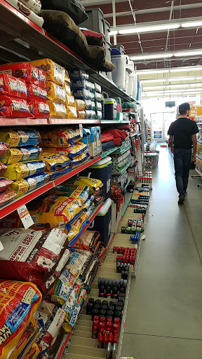 Dollar Store «FAMILY DOLLAR», reviews and photos, 279 E Myers Blvd, Mascotte, FL 34753, USA