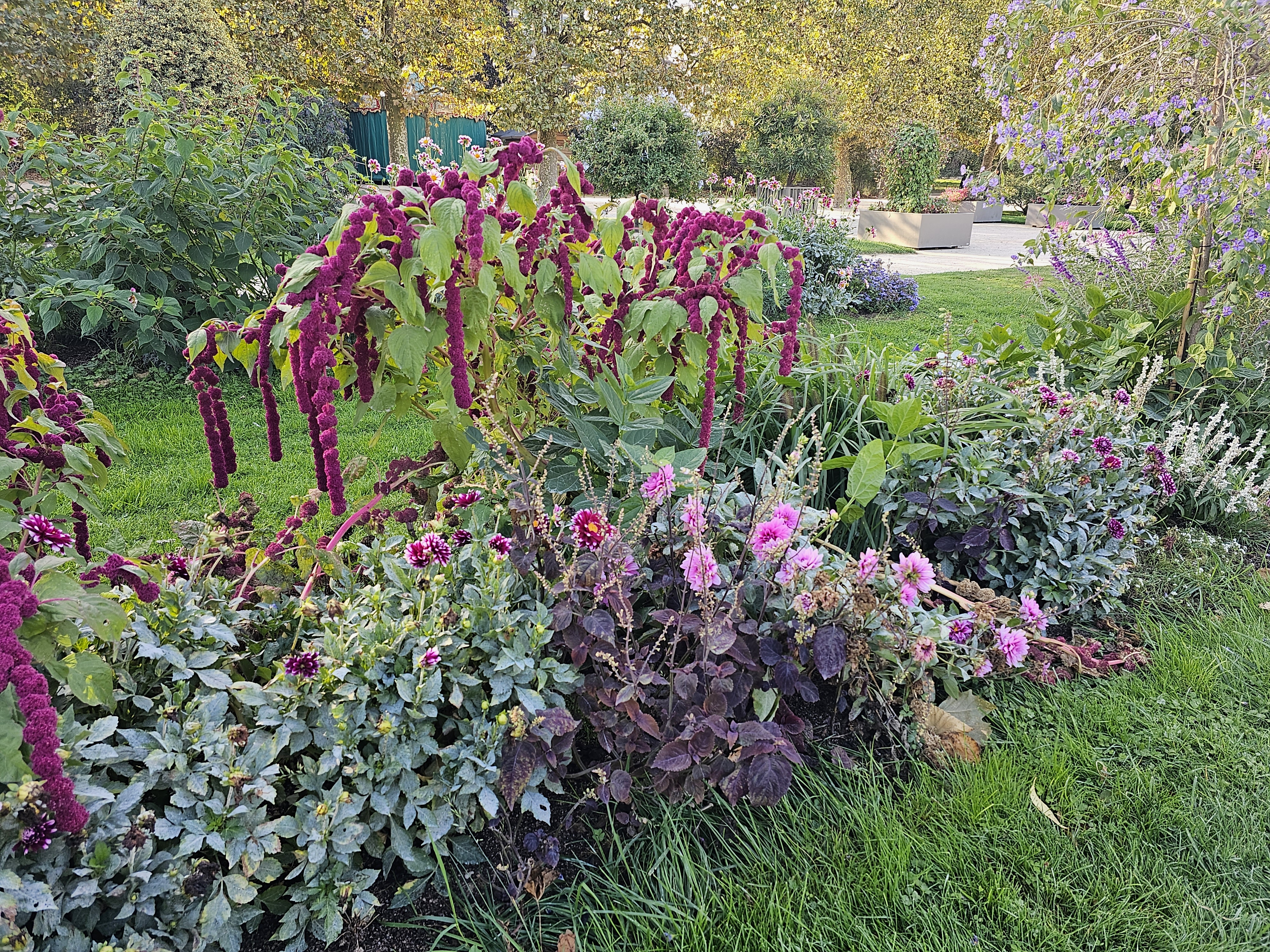 Photo n° 4 de l'avis de Flo.a fait le 18/10/2023 à 20:57