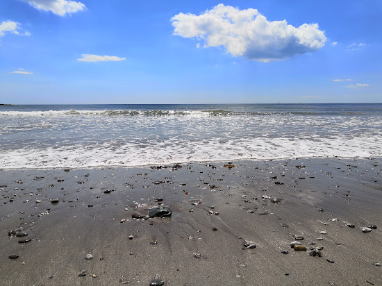 Wembury beach