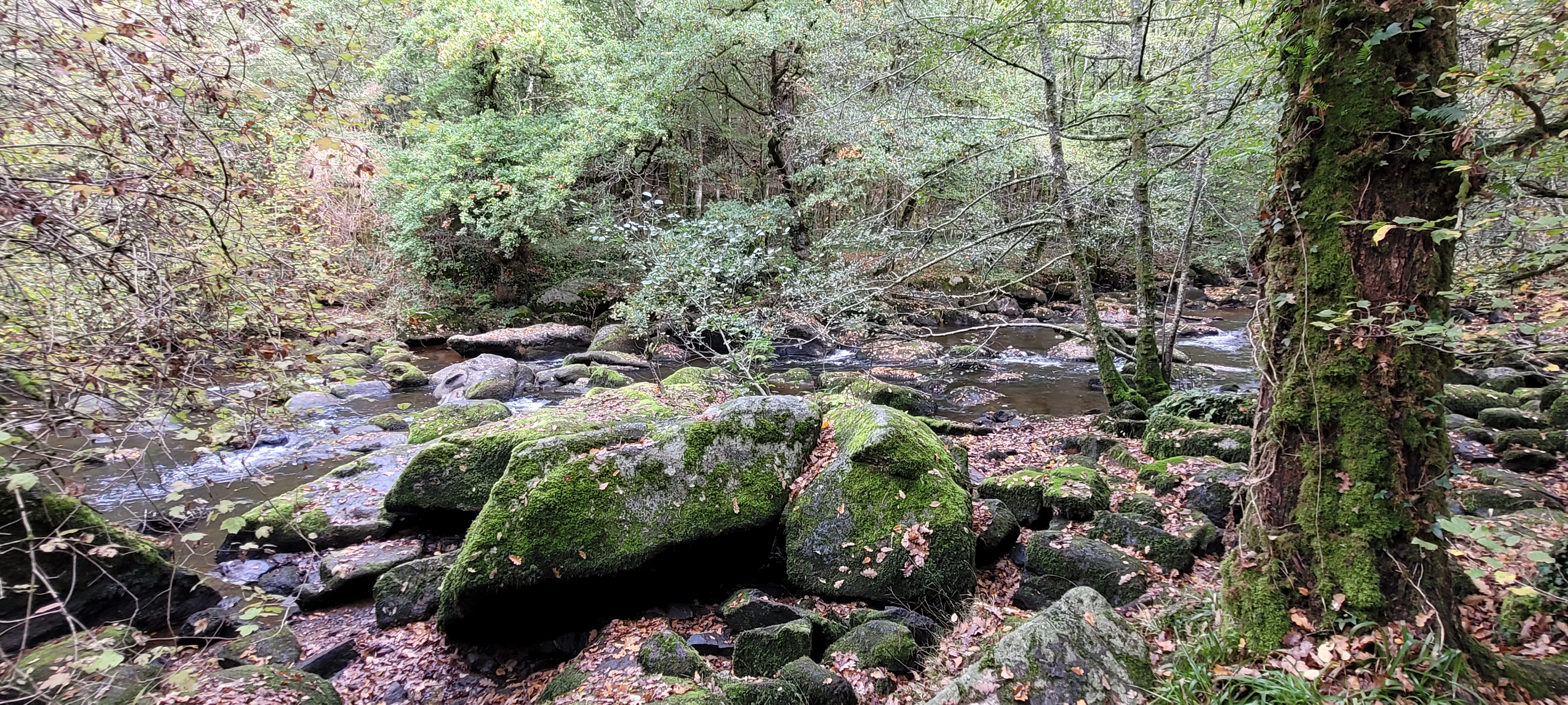 Photo n° 13 de l'avis de Christian.a fait le 30/10/2022 à 11:08