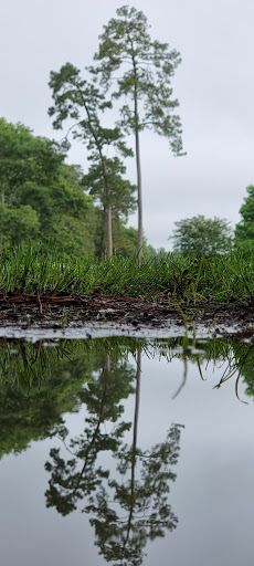 Golf Course «Golf Trails of the Woodlands», reviews and photos, 2311 N Millbend Dr, The Woodlands, TX 77380, USA