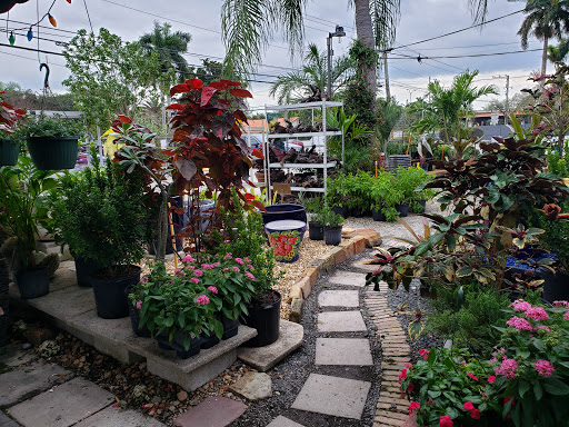 Wholesale Plant Nursery «Galloway Farm Nursery Inc.», reviews and photos, 7790 SW 87th Ave, Miami, FL 33173, USA