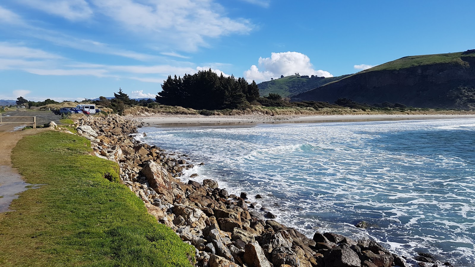 Aramoana Beach'in fotoğrafı - tatil için iyi evcil hayvan dostu nokta