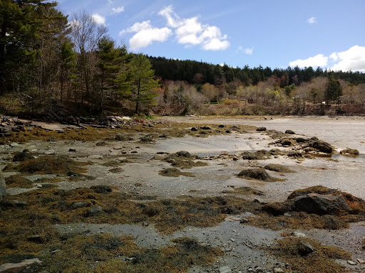 Outdoor Sports Store «Cadillac Mountain Sports», reviews and photos, 26 Cottage St, Bar Harbor, ME 04609, USA