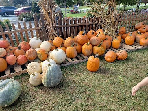 Farm «Alstede Farms», reviews and photos, 1 Alstede Farms Ln, Chester, NJ 07930, USA