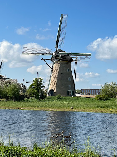 Kinderdijk