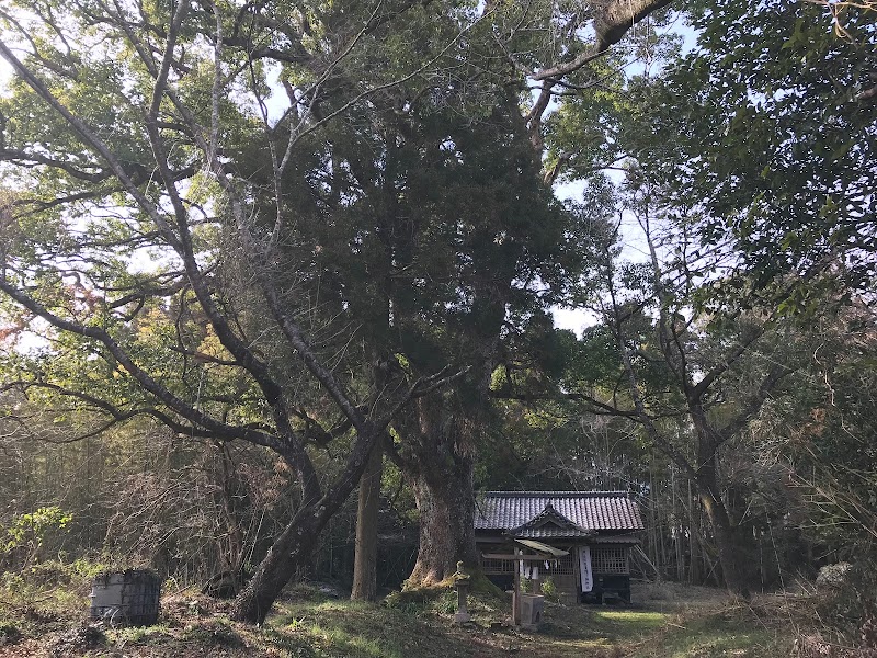 上三財神社