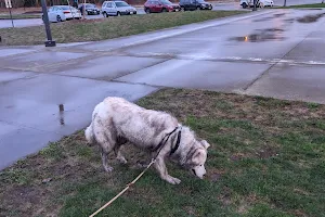 Squalicum Dog Park image