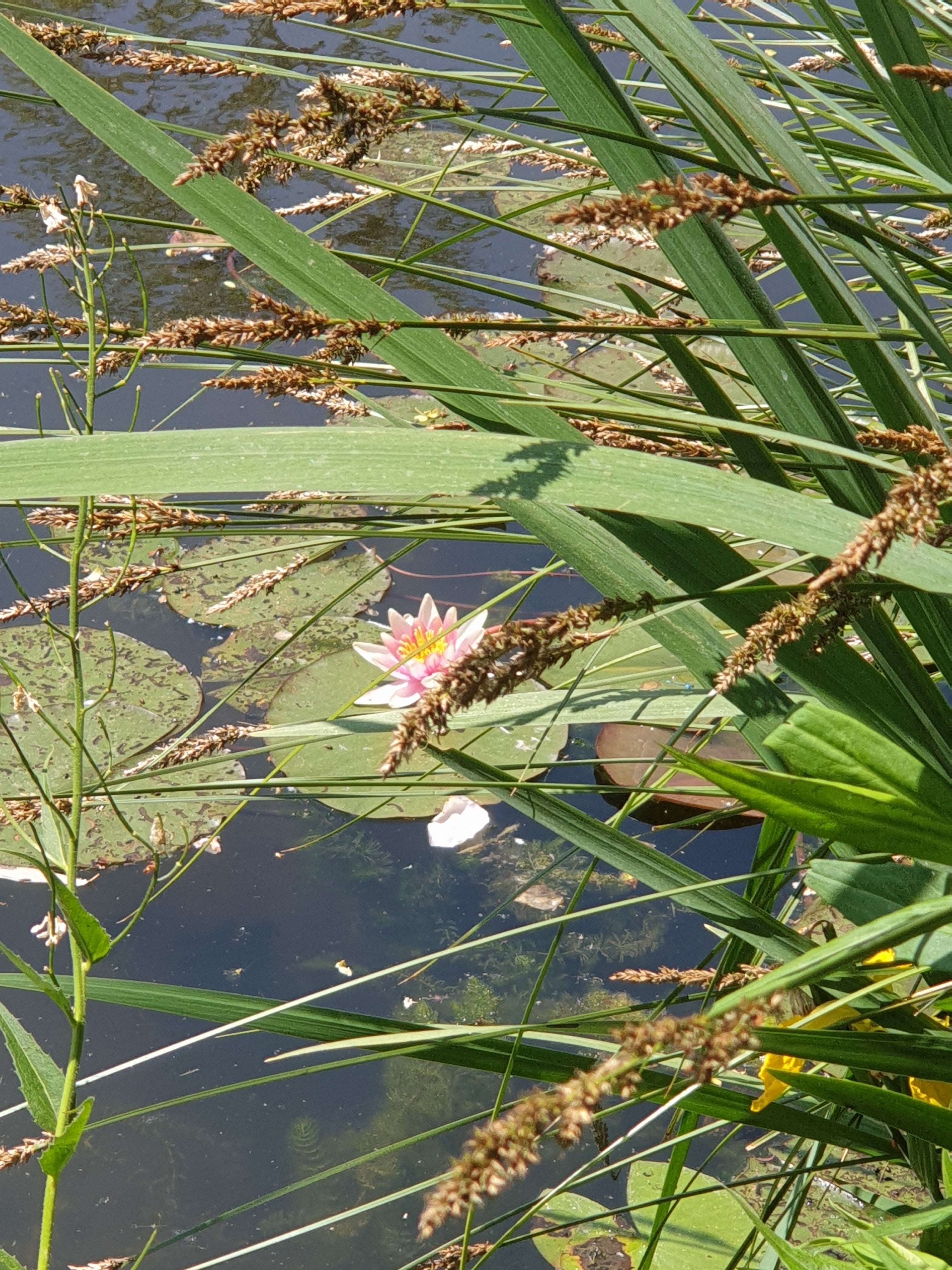 Photo n° 2 de l'avis de Christine.r fait le 30/05/2023 à 18:40