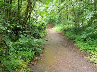Croisan Creek Trail