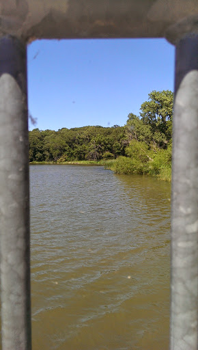 Nature Preserve «Pulaski Woods East», reviews and photos, 9600 Wolf Rd, Willow Springs, IL 60480, USA