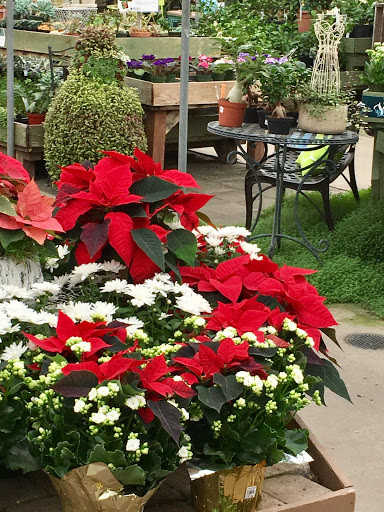 Florist «Windmill Floral Studio», reviews and photos, 16009 60th St E # G, Sumner, WA 98390, USA