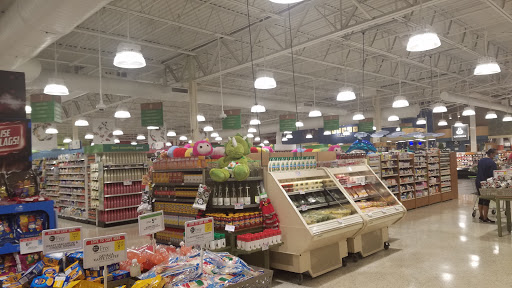 Supermarket «Publix Super Market at New Tampa Center», reviews and photos, 19034 Bruce B. Downs Boulevard, Tampa, FL 33647, USA