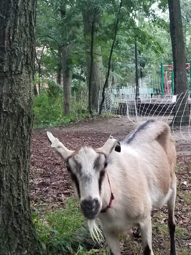 Park «Dorchester Park», reviews and photos, 2180 Dorchester Ave, Dorchester, MA 02124, USA