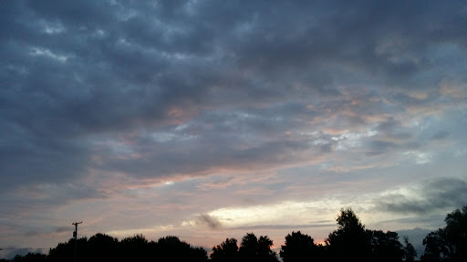 Grocery Store «Newton IGA», reviews and photos, 1108 S Van Buren St, Newton, IL 62448, USA