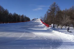 Ekologicheskiy Park image