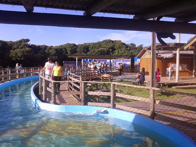 Ilhasol Praia Hotel - Florianópolis
