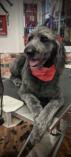 Pet Groomer «A Klassy Lassie, LLC», reviews and photos, 30 Old Jackson Rd, McDonough, GA 30252, USA