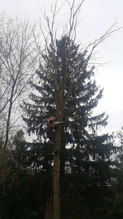 MW Tree Services