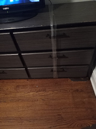 Moving and Storage Service «Family Moving & Storage Inc.», reviews and photos, 4545 W Homer St, Chicago, IL 60639, USA