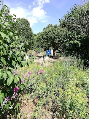 Bare Cove Park - photo 17