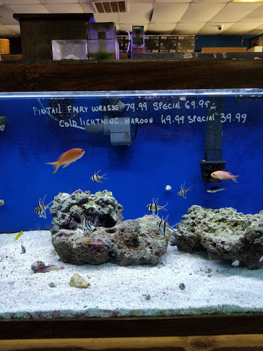 Tropical Fish Store «Fishland», reviews and photos, 13155 Westheimer Rd #114, Houston, TX 77077, USA