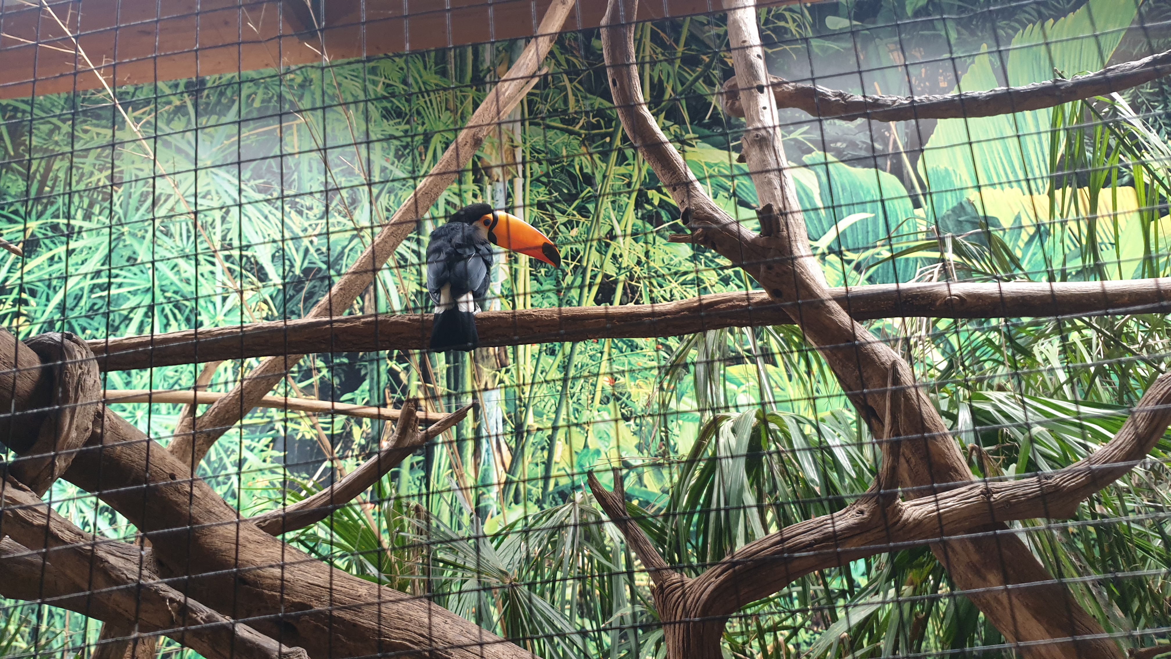 Photo n° 1 de l'avis de Cellier.a fait le 08/07/2023 à 13:32