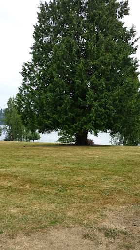 Park «Luther Burbank Park», reviews and photos, 2040 84th Ave SE, Mercer Island, WA 98040, USA