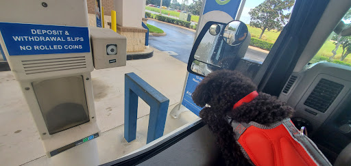 Credit Union «FAIRWINDS Credit Union», reviews and photos