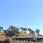 Photo n°6 de l'avis de Claudio.a fait le 12/05/2024 à 14:28 sur le  Monte do Alento - Castro da Cola à Baixo Alentejo