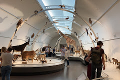 Museum voor Natuurwetenschappen