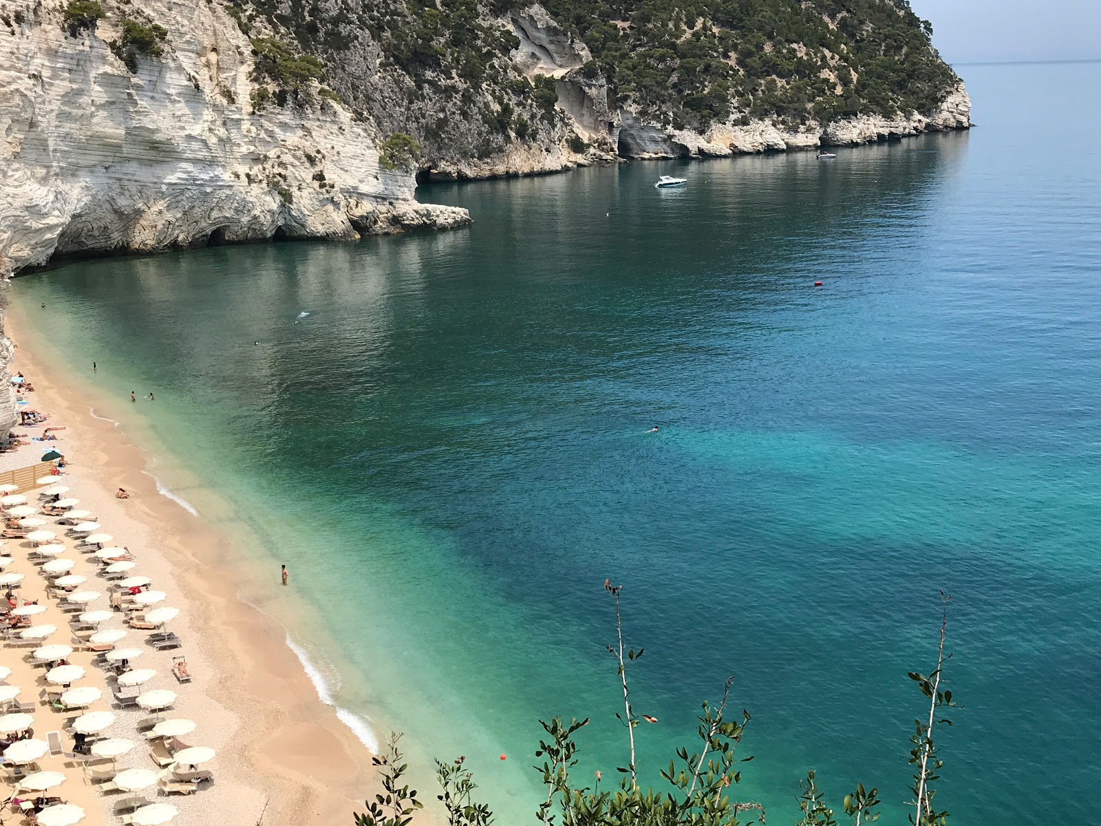 Foto von Faraglioni Strand mit sehr sauber Sauberkeitsgrad