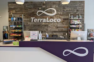 TerraLoco image