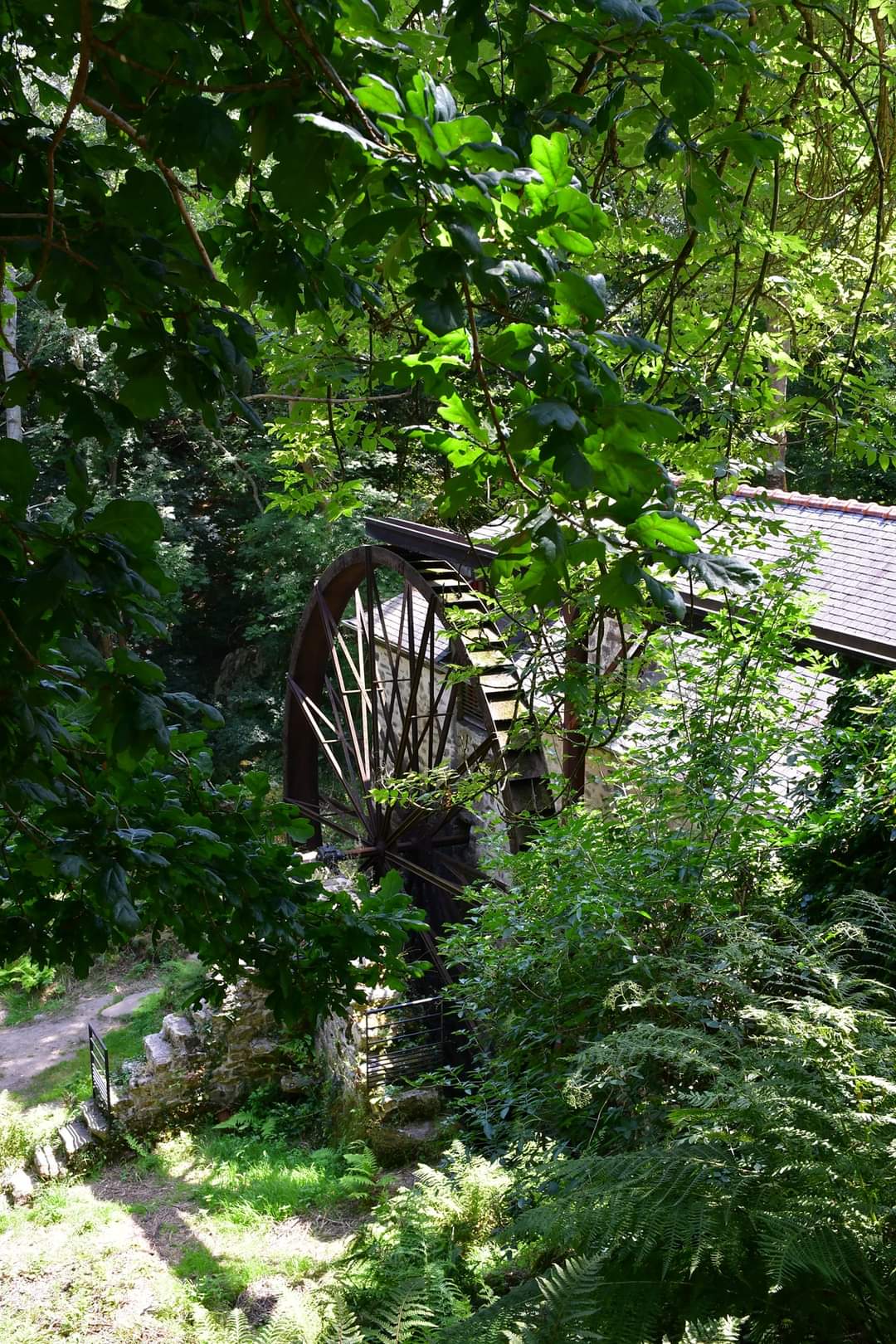 Photo n° 2 de l'avis de Phidis.a fait le 26/07/2022 à 13:39