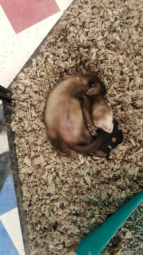 Pet Supply Store «Petco Animal Supplies», reviews and photos, 92 Cluff Crossing Rd, Salem, NH 03079, USA