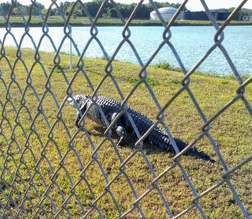 Golf Course «Buffalo Creek Golf Course», reviews and photos, 8100 69th St E, Palmetto, FL 34221, USA