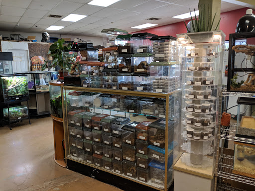 Reptile shops in Austin