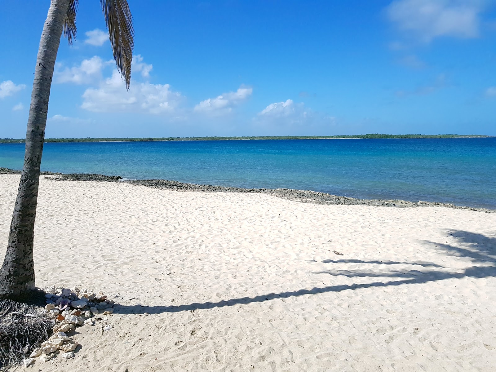 Foto van Playa La Boca met turquoise puur water oppervlakte