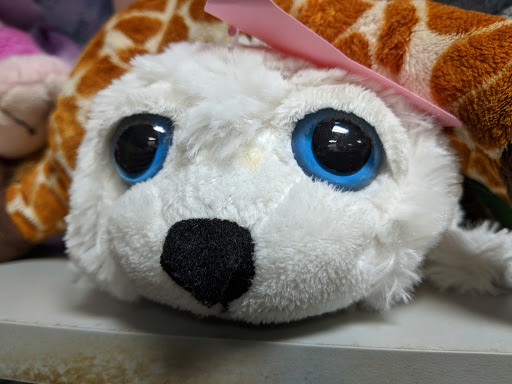 Thrift Store «Tried & True Thrift Store», reviews and photos, 35004 W Michigan Ave, Wayne, MI 48184, USA