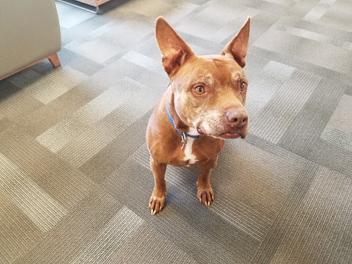 Golf Course «Overpeck Golf Course», reviews and photos, 273 E Cedar Ln, Teaneck, NJ 07666, USA