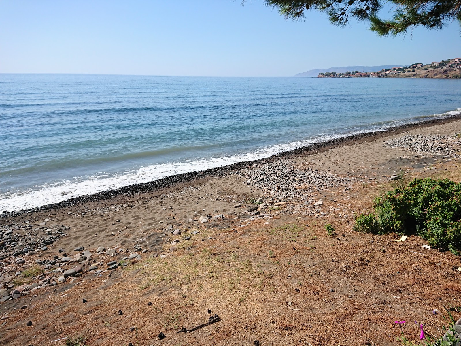 Foto av Delfinia Stranden bekvämlighetsområde